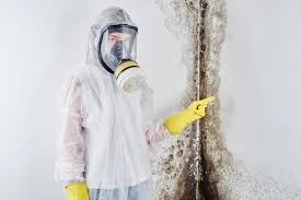 Best Attic Mold Removal  in Hackleburg, AL